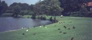 1967 Sommer - Vanløse, Skovgaard, Fynske landsby, Odense Å