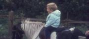 1970 Odense Zoo, Givskud, Legoland