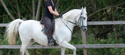 07-15 Ane & Zhegal's rideopvisning
