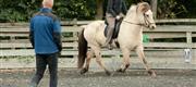 10-10 Somi i skole hos Dennis